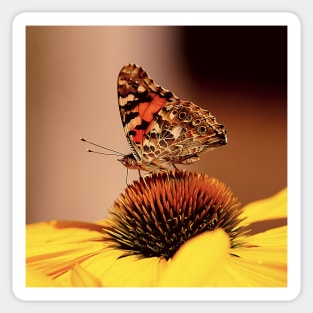 Butterfly Blooming Flower Sticker